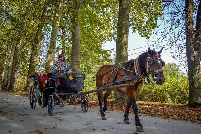 Private Carriage Ride in Vrelo Bosne Nature Park - Key Highlights You’ll Actually Feel During This Ride
