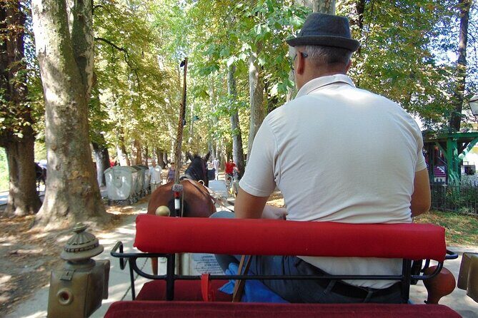 Private Carriage Ride in Vrelo Bosne Nature Park - Sarajevo to Vrelo Bosne: Why This Carriage Ride Still Works