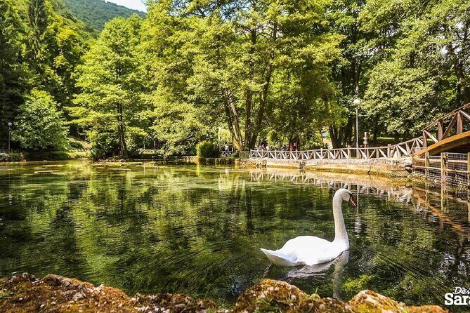 Private Carriage Ride in Vrelo Bosne Nature Park - The Vrelo Bosne Stop: What to Do With Your Time There