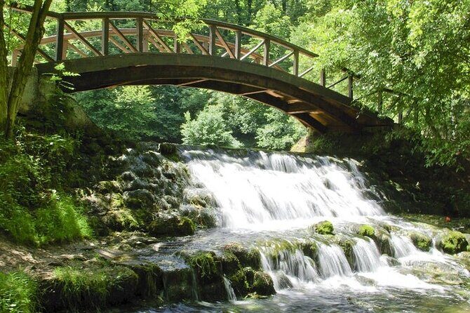 Private Carriage Ride in Vrelo Bosne Nature Park - Private Transport and Pickup: A Real Quality-of-Life Upgrade