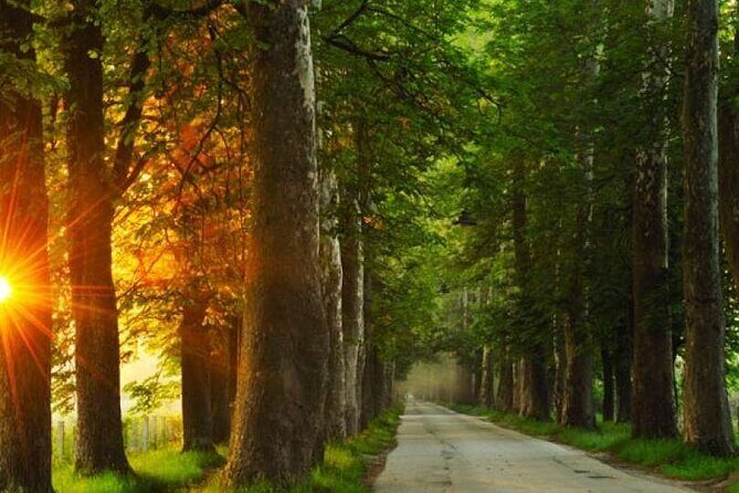 Private Carriage Ride in Vrelo Bosne Nature Park - Price and Value: Is $95.78 per Person Fair for What You Get?