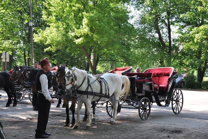 Private Carriage Ride in Vrelo Bosne Nature Park - Photo Stops and Pacing: How to Make It Feel Personal