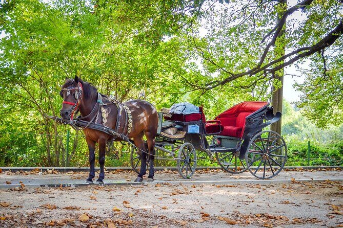 Private Carriage Ride in Vrelo Bosne Nature Park - How the 3–4 Hours Typically Plays Out (With Realistic Expectations)