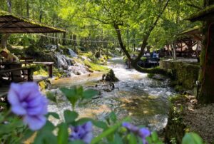 Sarajevo: Jajce Waterfall, Travnik & Pliva Lake Tour - Travnik first: Ottoman capital vibes and quick town momentum