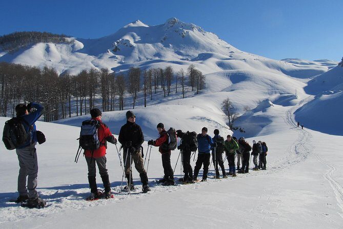 Sarajevo Snowshoeing Adventure - The snowy beech forest walk: where the snowshoes do their job